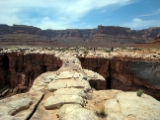 Moab-White Rim 4-08 023